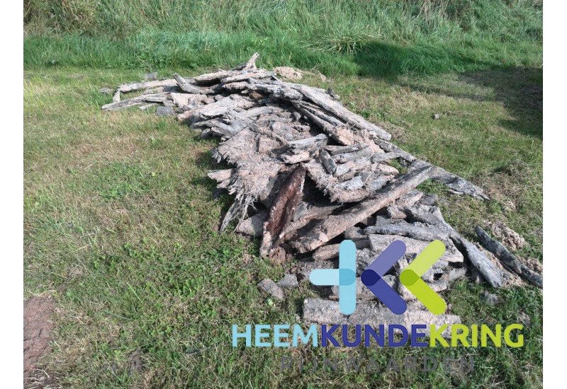 Scheepshoud gevonden in de Groene Rivier te Pannerden juni 2015